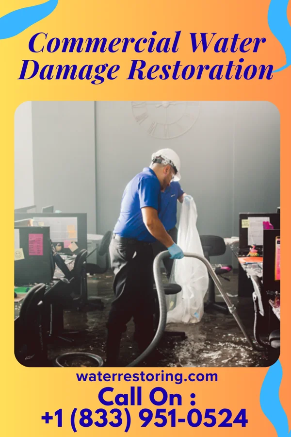 Commercial Water Damage Restoration in Romney, WV