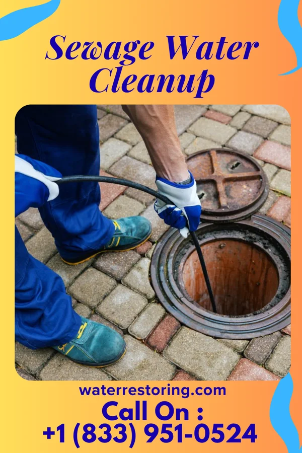 Sewage Water Cleanup in Romney, WV